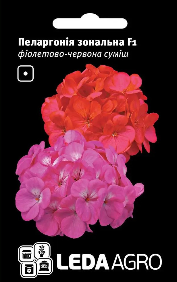 Пеларгонія Зональна F1, суміш 5 шт (Leda Agro), фото 1