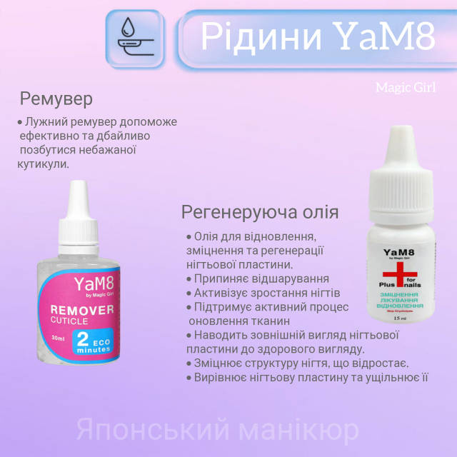 Gynanisa maja ♂♀ペアセット Gynanisa maja ♂♀ペアセット