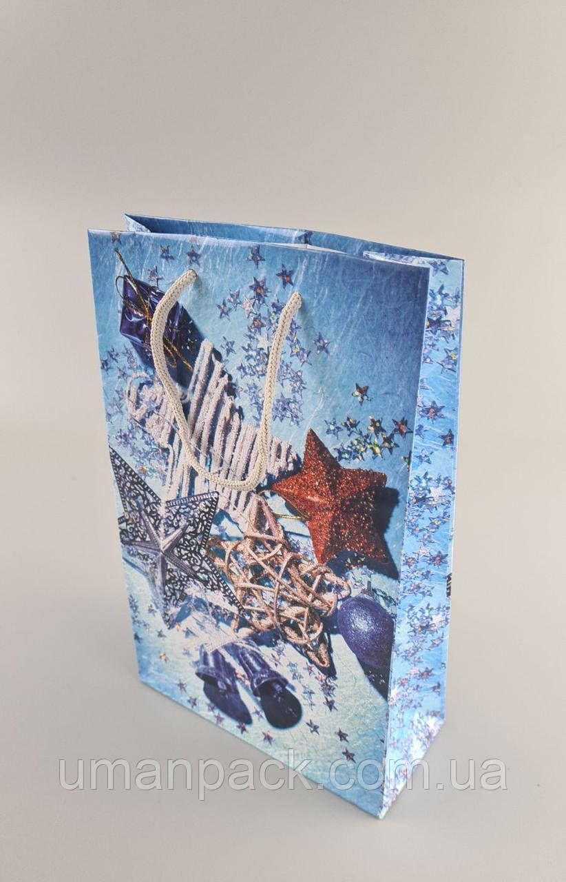 Паперовий Подарунковий Пакет Новорічний 17x26x8-018 (12 шт.), фото 1