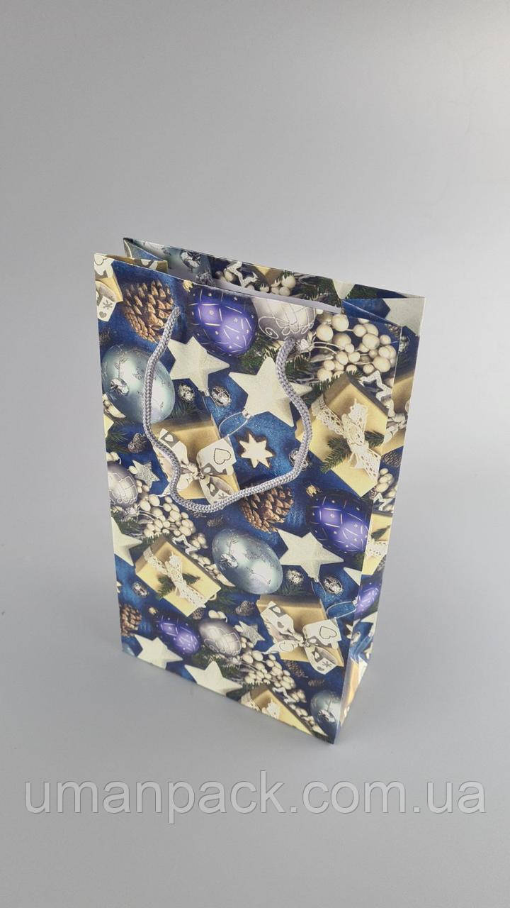 Паперовий Подарунковий Пакет Новорічний середній 17x26x8-030 (12 шт.)