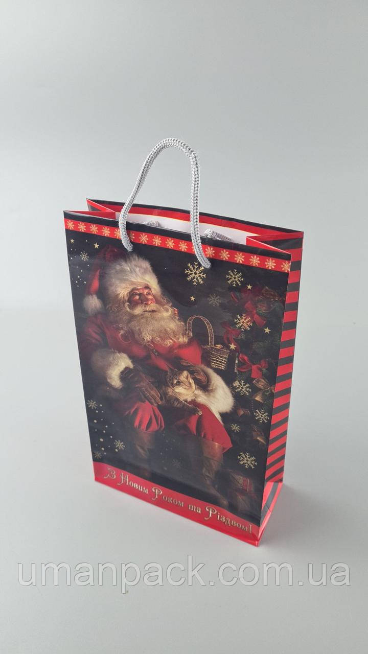 Паперовий Подарунковий Пакет Новорічний середній 17x26x8-036 (12 шт.)