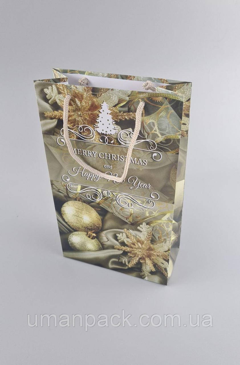 Паперовий Подарунковий Пакет Новорічний середній 17x26x8-035 (12 шт.)