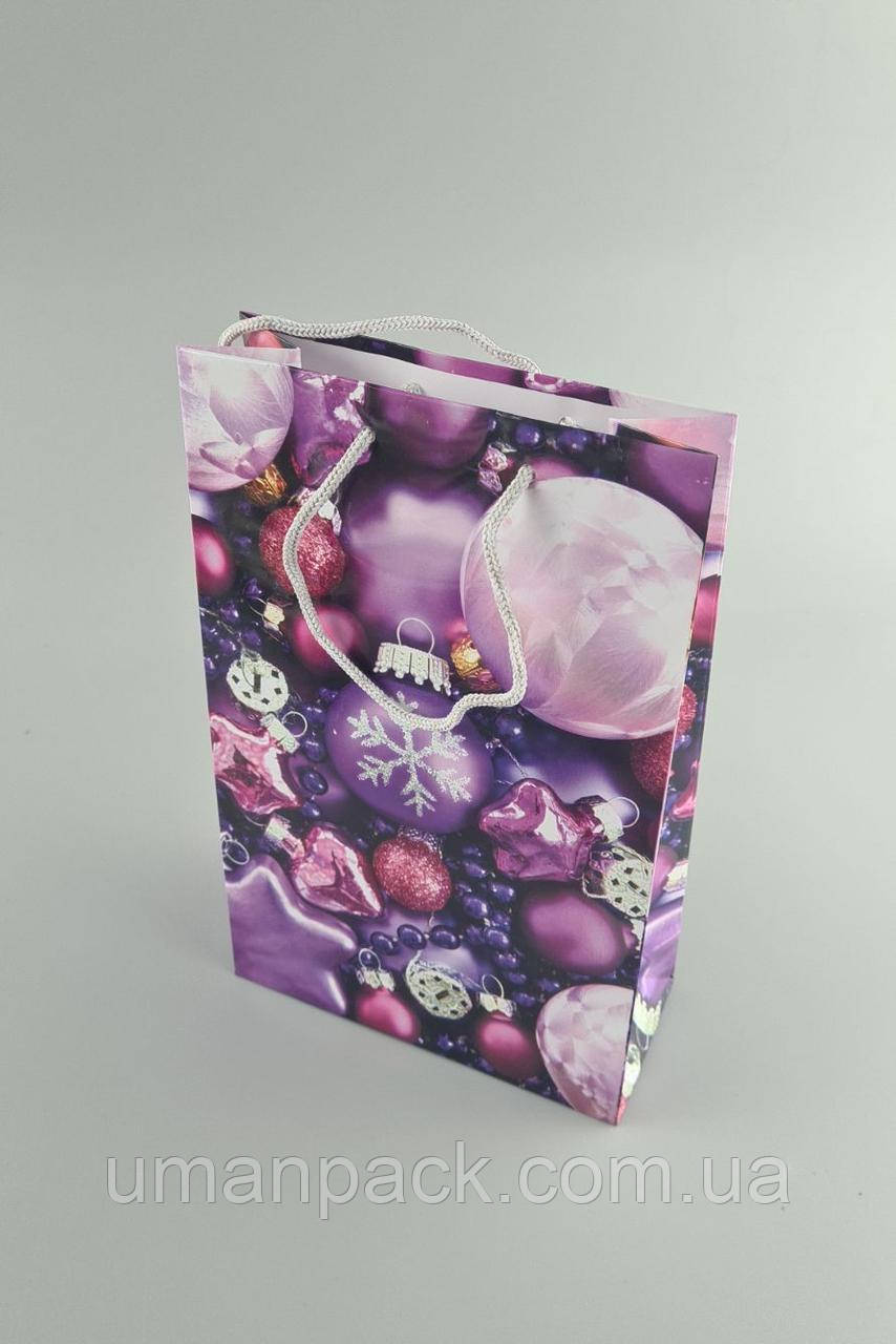 Паперовий Подарунковий Пакет Новорічний середній 17x26x8-034 (12 шт.)