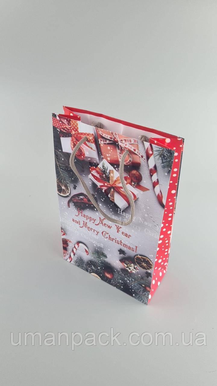 Паперовий Подарунковий Пакет Новорічний середній 17x26x8-041 (12 шт.), фото 1