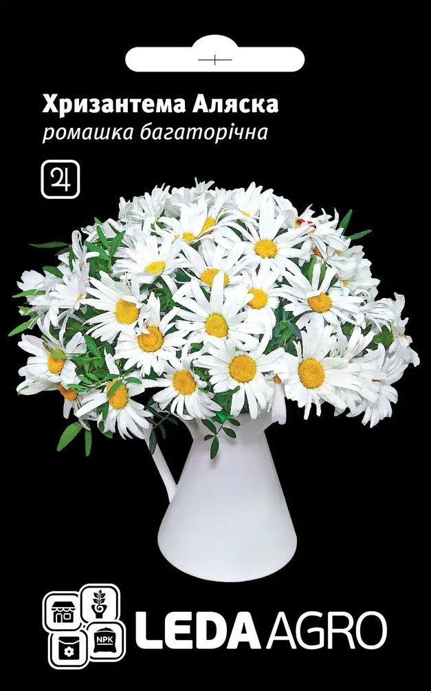 Хризантема Аляска, ромашка багаторічна, 0,4 г (Leda Agro), фото 1