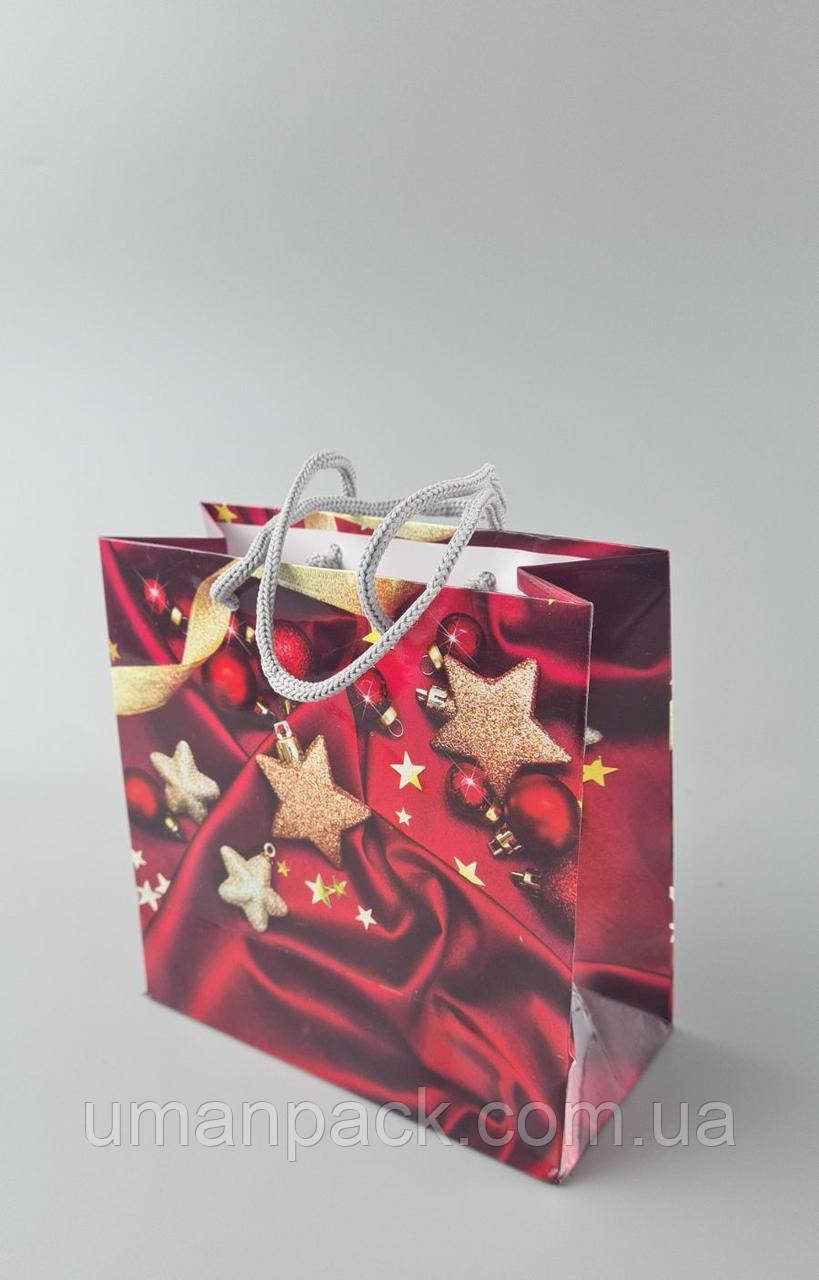 Паперовий Подарунковий Пакет Новорічний 16/16/8-022 (12 шт)