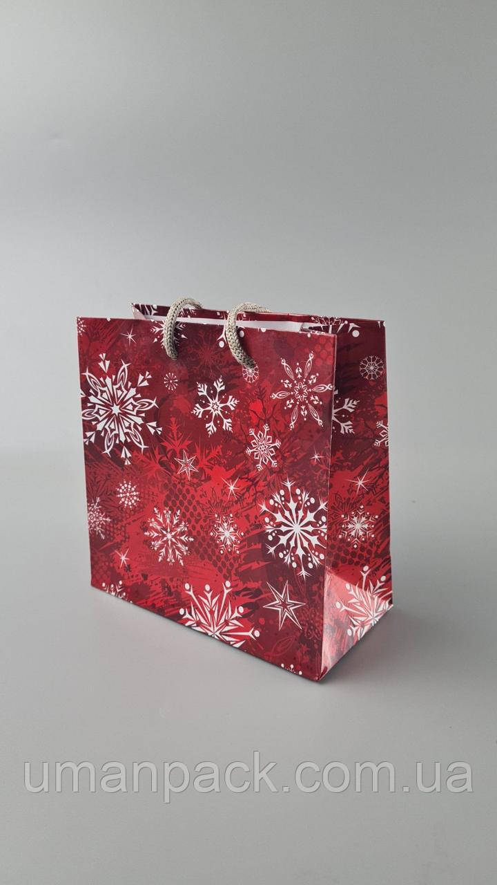 Паперовий Подарунковий Пакет Новорічний 16/16/8-024 (12 шт), фото 1