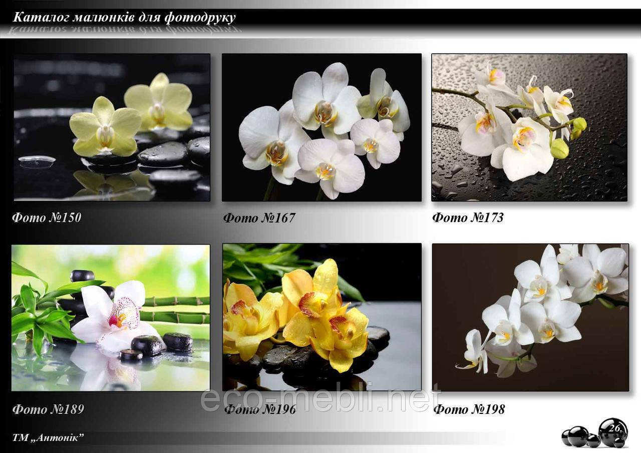 Каталог фотодруку. Часть 1, фото 1