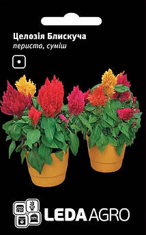 Целозія Блискуча суміш, периста 0,01 г (Leda Agro)