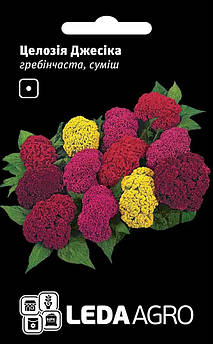 Целозія Джесіка, гребінчаста суміш 0,01 г (Leda Agro)