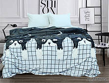 Плед велсофт (мікрофібра) ALM1905