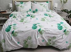Комплект постільної білизни з компаньйоном S450