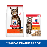 Hill's SCIENCE PLAN Adult Сухий корм для дорослих кішок, з ягням, 10 кг, фото 4