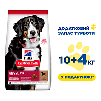 Hill's SCIENCE PLAN Adult Large Breed Сухий корм для дорослих собак великих порід, з ягням і рисом, 10+4 кг