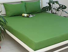 Простирадло на гумці (160х200х20) Cactus