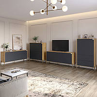 Комплект меблів для вітальні Lion Амарант 4 елементи Дуб Артізан/Графітовий (LION-042357), 8929748 - 391