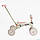 Велосипед 3-х кол. BST-565 Best Trike (1) матеріал рами нейлон, колеса передні 8``, задні 6``, батьківська ручка, в коробці, фото 2