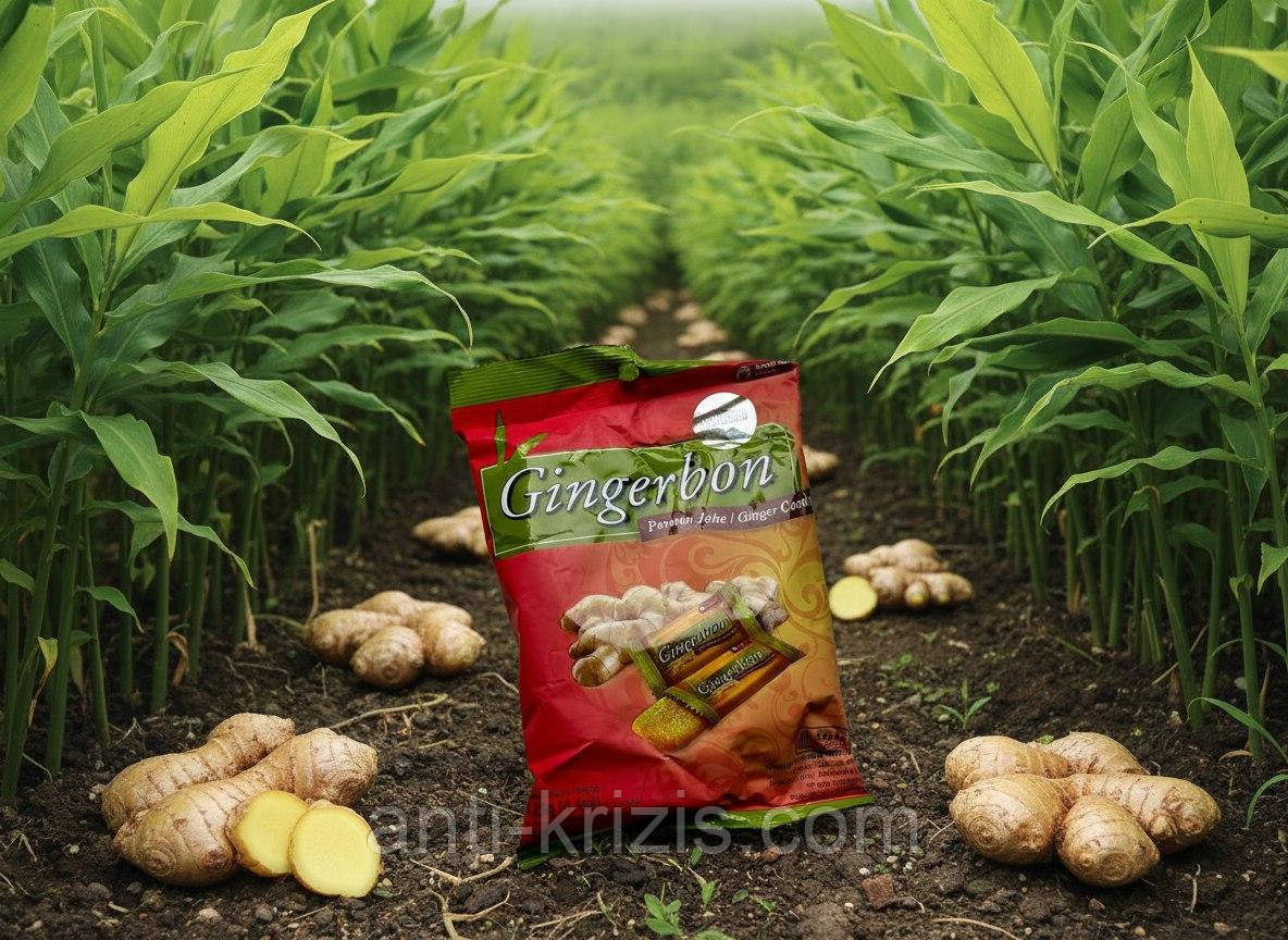 Натуральні імбирні цукерки Gingerbon candy 125 г (Інфезія)