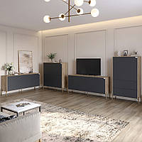 Комплект меблів для вітальні Lion Амарант 4 елементи Дуб Сонома трюфель/Графітовий (LION-0423, 8929751 - 294