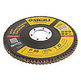 Круг пелюстковий торцевий Т27 (прямий) Ø 125 мм P36 SIGMA (9172031), фото 3