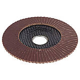 Круг пелюстковий торцевий Т29 (конічний) Ø 125 мм P220 SIGMA (9172691), фото 4