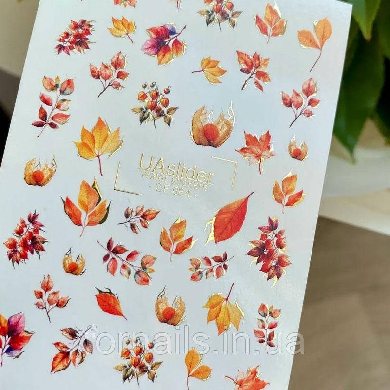 Слайдер-дизайн UA Slider CF 664, фото 1