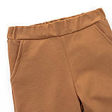 Комплект для дівчинки світшот з принтом ведмедика та штанці Cute Bears, фото 7