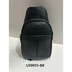 Сумка Чоловіча Чорна Backpack for men AND JASPER Шкіра L99810-b 2 відділи кишеня для ноутбука