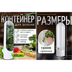 Контейнер для зелені XL-1328 з кришкою та герметичною системою зберігання