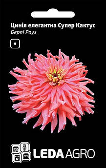 Цинія Берпі Роуз, елегантна Супер Кактус 0,3 г (Leda Agro)