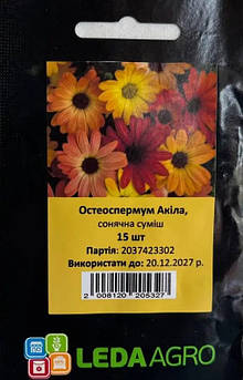 Остеоспермум Акіла F1, сонячна суміш, 15 шт (Leda Agro)