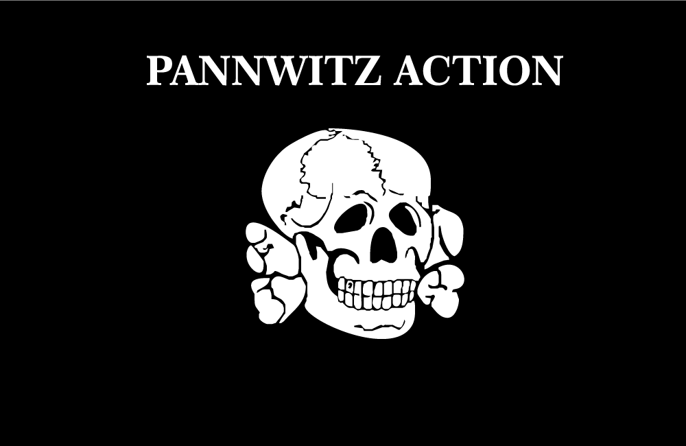 Прапор «3-тя танкова дивізія «PANNWITZ ACTION», фото 1