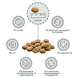 MERA Pure Sensitive Fresh Meat Truthahn & Kartoffel для дорослих собак, індичка з картоплею 12,5кг, фото 7