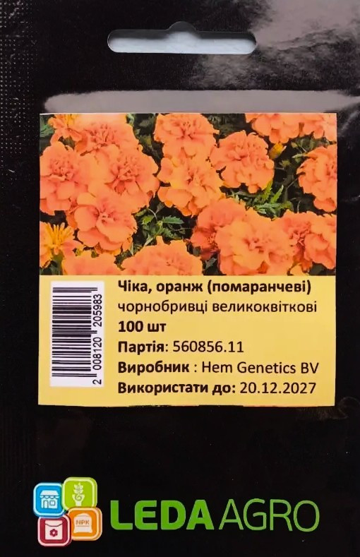 Чорнобривці Чіка, оранж 100 шт (Leda Agro), фото 1