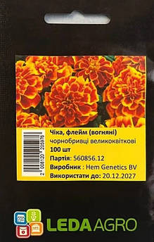 Чорнобривці Чіка, флейм 100 шт (Leda Agro)