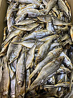 Прилов (тарань+окунь+уклейка).Тарань. Окунь. Уклейка.