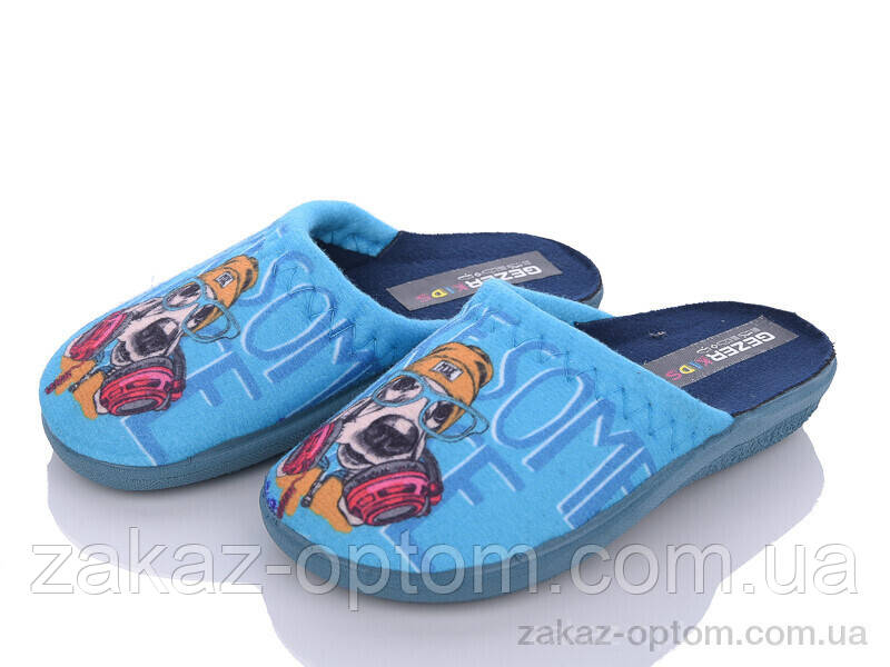 Тапки дитячі весна-осінь (6 пар р.24-29) LD004-1 blue