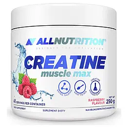 Креатин моногідрат, 250 г, для набору м'язової маси та сили, ALLNUTRITION Creatine Muscle Max - 250g Cola