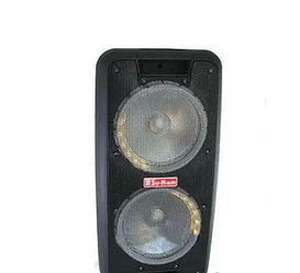 Портативна колонка Su-Kam 1010 2 мікрофони з BT 12v/220v