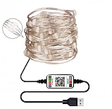 Гірлянда Роса Smart LED керування з телефона RGB Bluetooth від USB 20 м Різнокольорова, фото 2