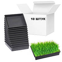 Комплект із 10 лотків піддонів для розсади 40×26×8,5 см (9 л)