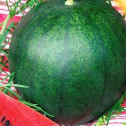 Насіння кавуна Північне сяйво (1-А Репродукція)