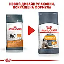 Royal Canin Hair&Skin Care 400 г сухий корм для дорослих кішок для турботи про шкіру та шерсть, фото 3