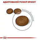 Royal Canin Hair&Skin Care 400 г сухий корм для дорослих кішок для турботи про шкіру та шерсть, фото 5