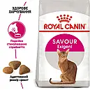 Royal Canin Exigent Savour 400 г сухий корм для дорослих кішок для вибагливих до смаку, фото 2