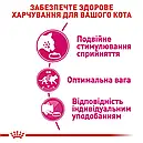 Royal Canin Exigent Savour 400 г сухий корм для дорослих кішок для вибагливих до смаку, фото 3