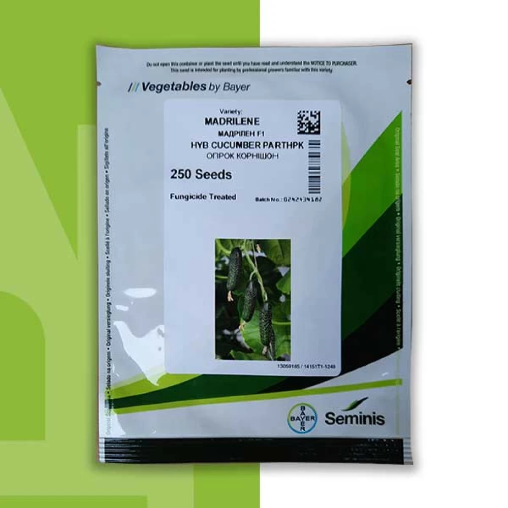 Огірок Мадрілене 250 нас Nunhems, фото 1