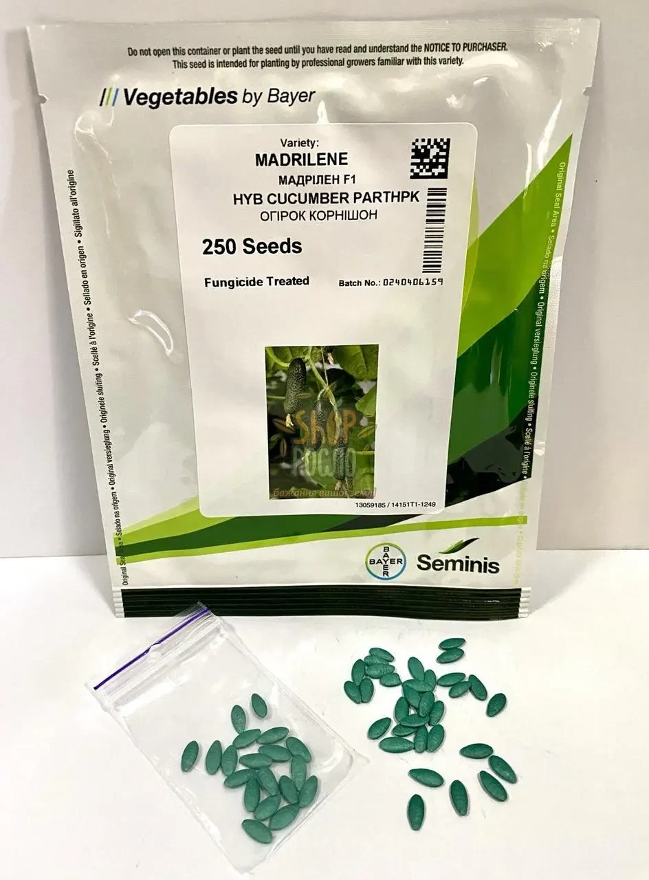 Огірок Мадрілене 10 нас Nunhems ЗІП, фото 1