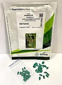 Огірок Мадрілене 50 нас Nunhems ЗІП