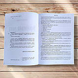 НМТ 2026 Українська мова та література Повний комплект Авт: Авраменко О. Вид: Талант, фото 3